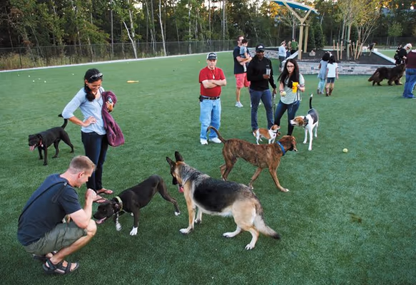 Short Pump Dog Park